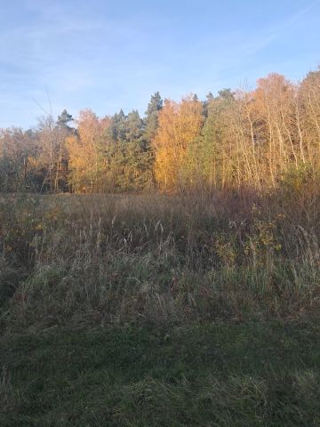 Działka budowlana Dzierzbin. Zdjęcie 1