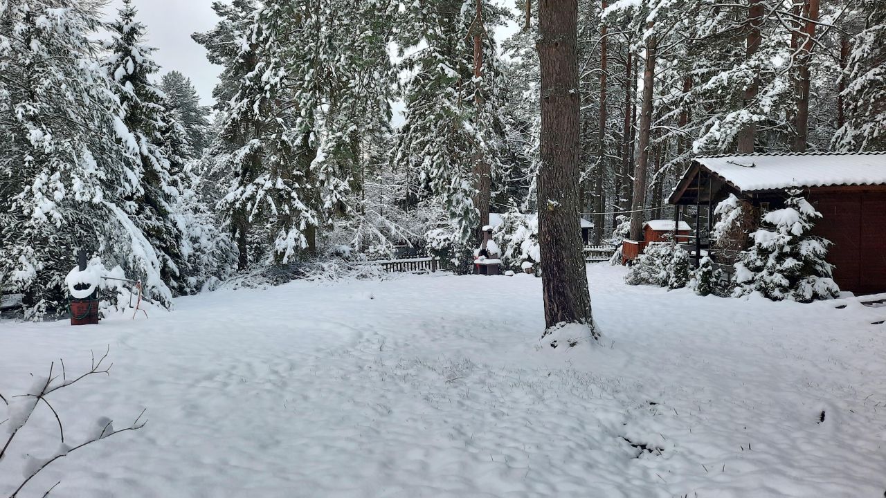 Działka rekreacyjna Zbychowo, ul. Sosnowa. Zdjęcie 14