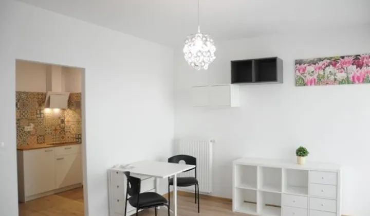 Mieszkanie 1-pokojowe Poznań Sołacz, ul. Urbanowska