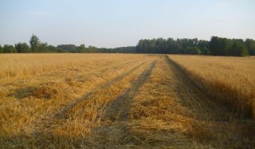 Działka rolna Stary Kiełbów