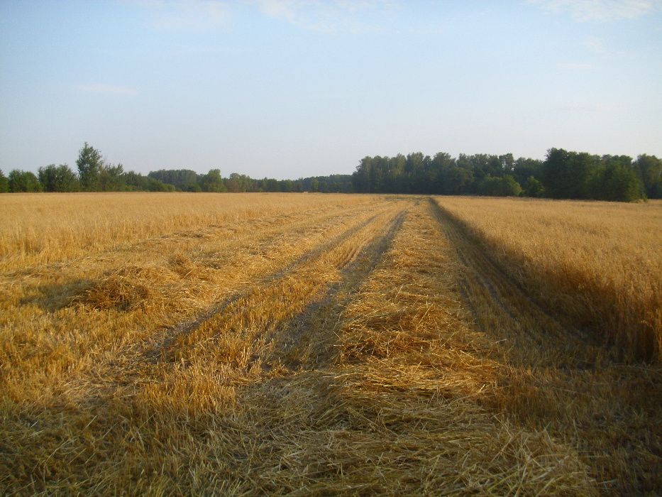 Działka rolna Stary Kiełbów