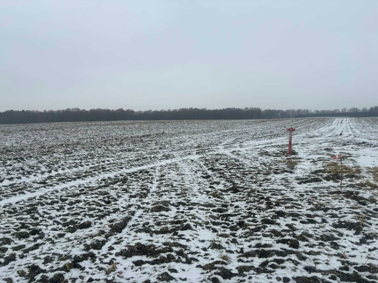 Działka budowlana Kluczkowo. Zdjęcie 5