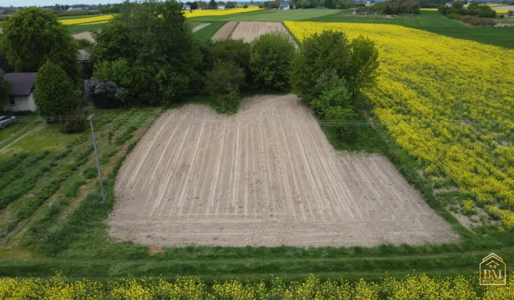 Działka siedliskowa Płouszowice-Kolonia