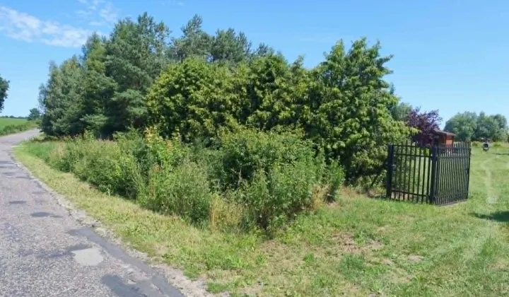Działka rolna Pustki Działyńskie