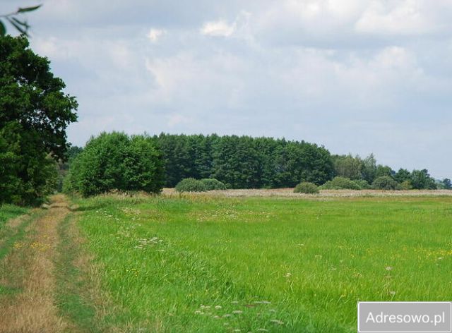 Działka leśna Garki. Zdjęcie 1