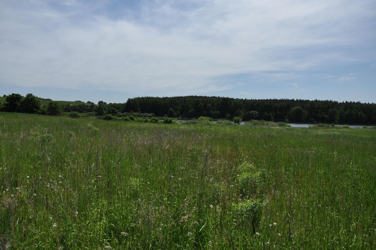Działka budowlana Godziszewo, ul. Nad Jeziorem. Zdjęcie 2
