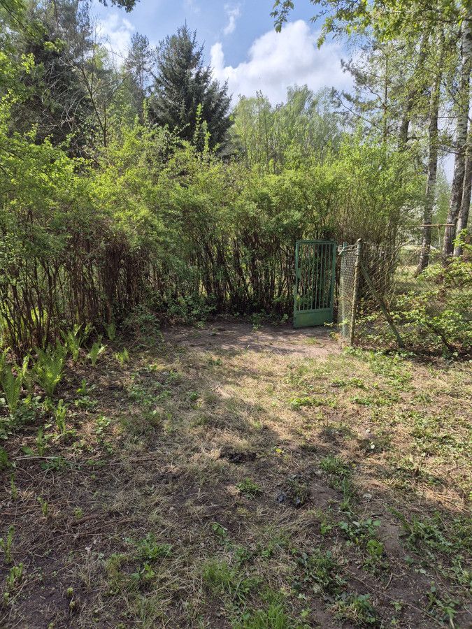 Działka rod Klebark Mały. Zdjęcie 11