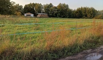 Działka rekreacyjna Krosinko, ul. Orzechowa