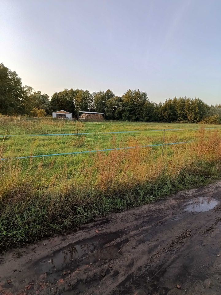 Działka inwestycyjna Krosinko, ul. Orzechowa
