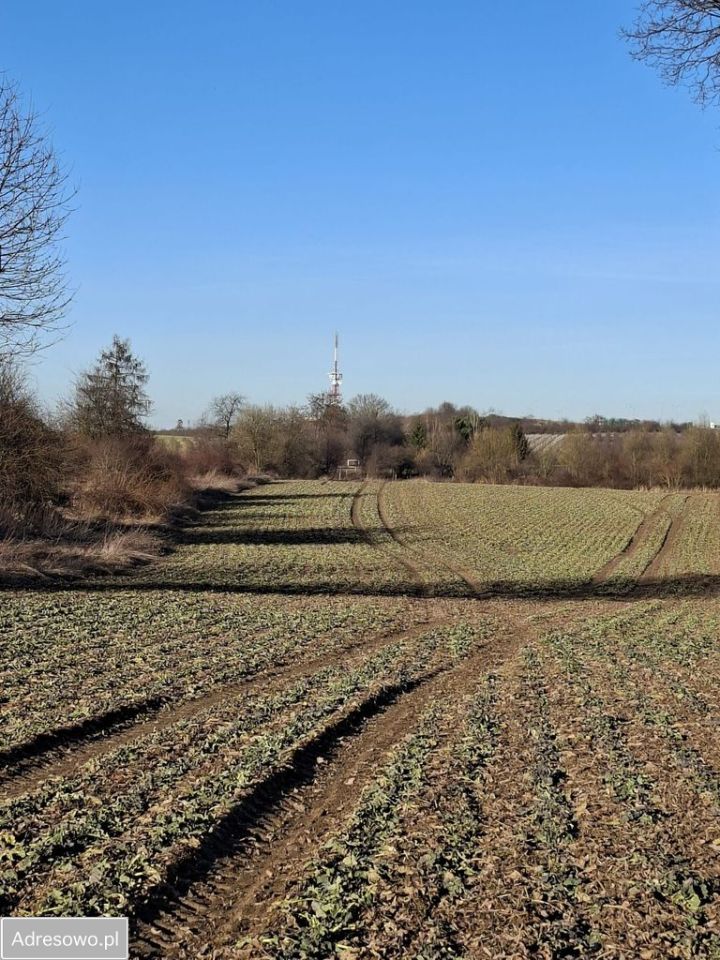 Działka siedliskowa Będkowo. Zdjęcie 6