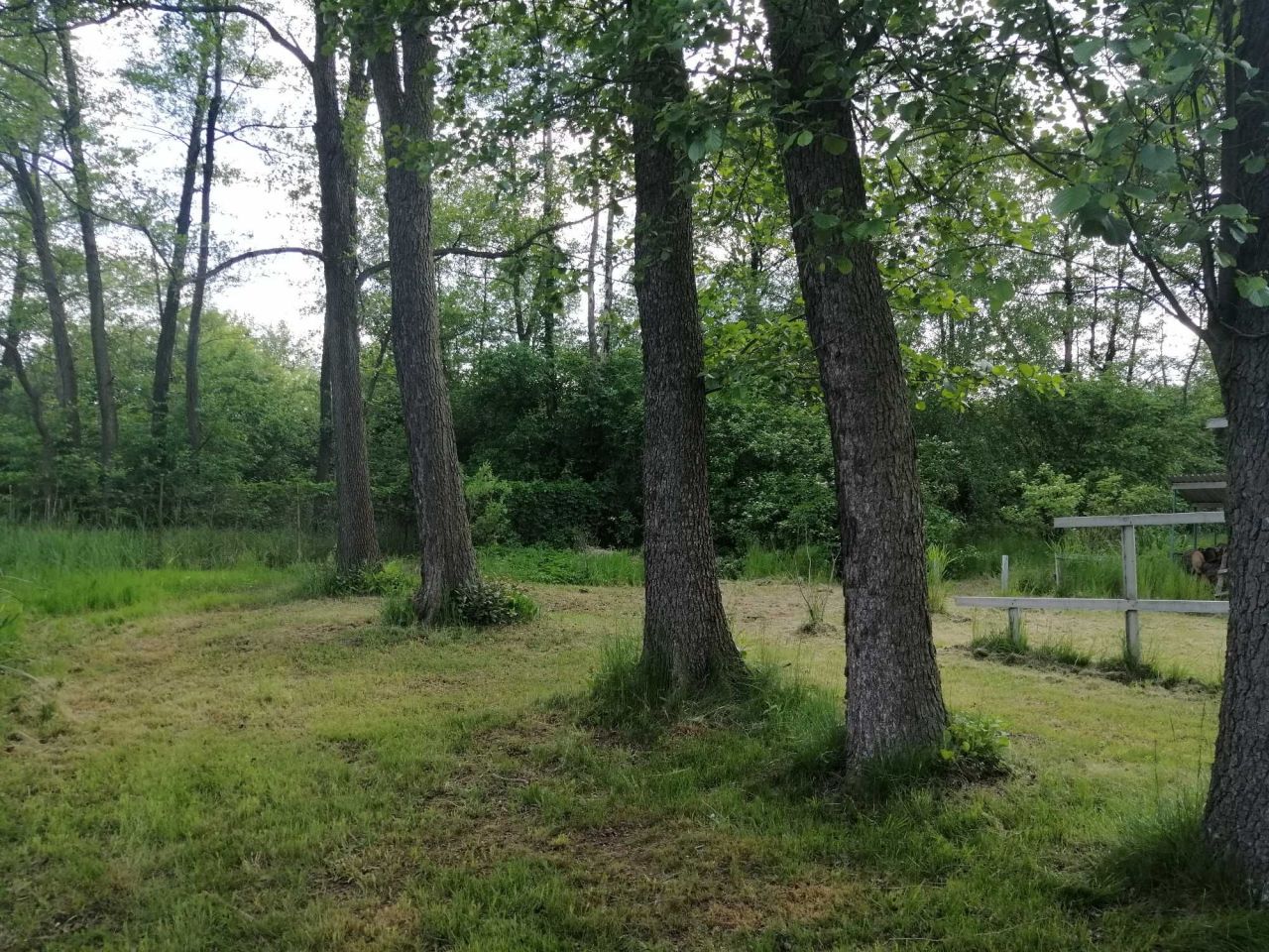 Działka rod Słowik. Zdjęcie 3
