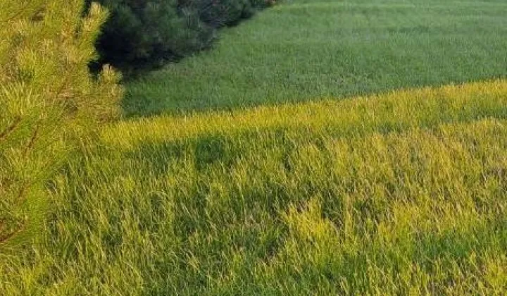 Działka budowlana Płock Radziwie, ul. Popłacińska
