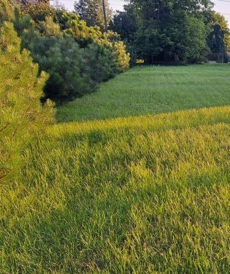 Działka budowlana Płock Radziwie, ul. Popłacińska. Zdjęcie 1