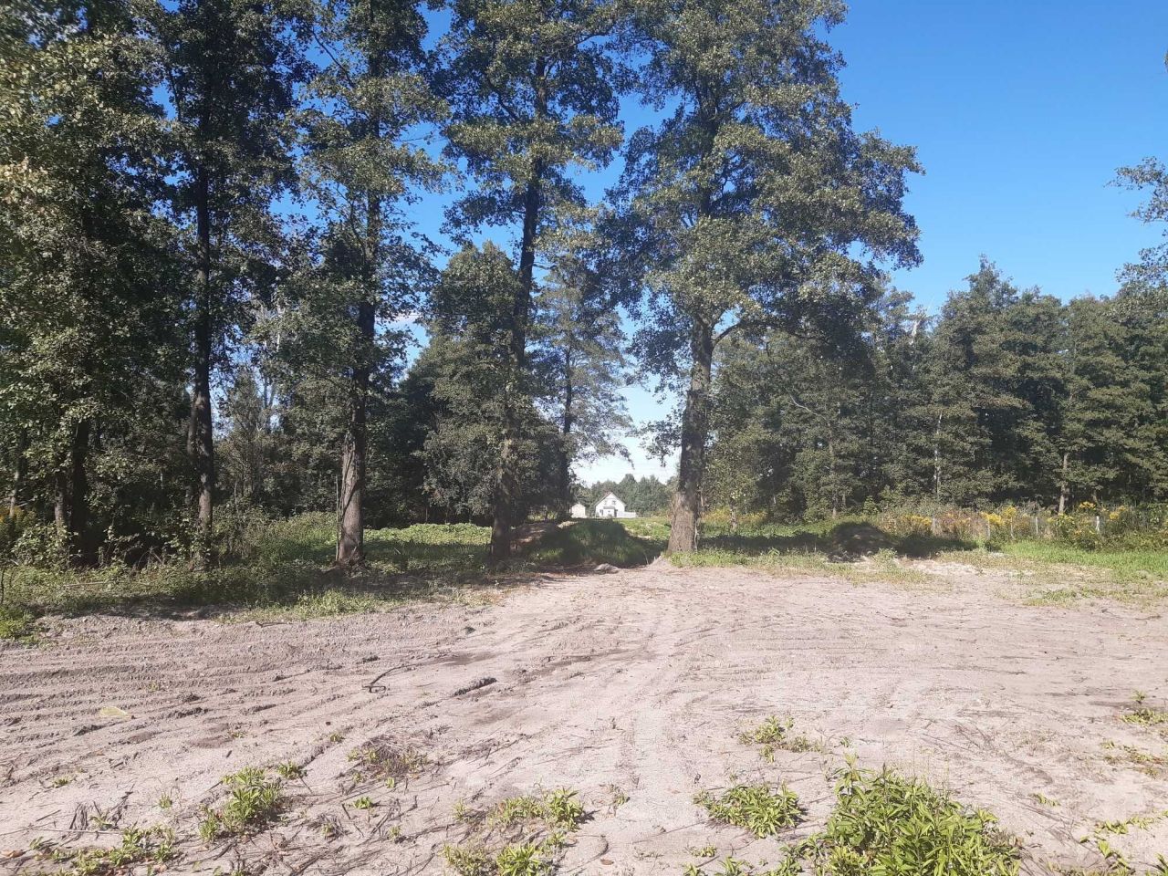 Działka rolno-budowlana Dąbrowa. Zdjęcie 6