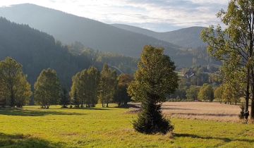 Działka inwestycyjna Bolesławów