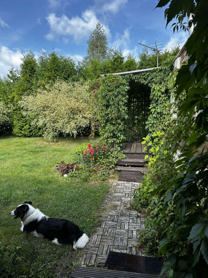 Działka budowlana Osowo Leśne Skowronek, os. Letnisko II. Zdjęcie 3