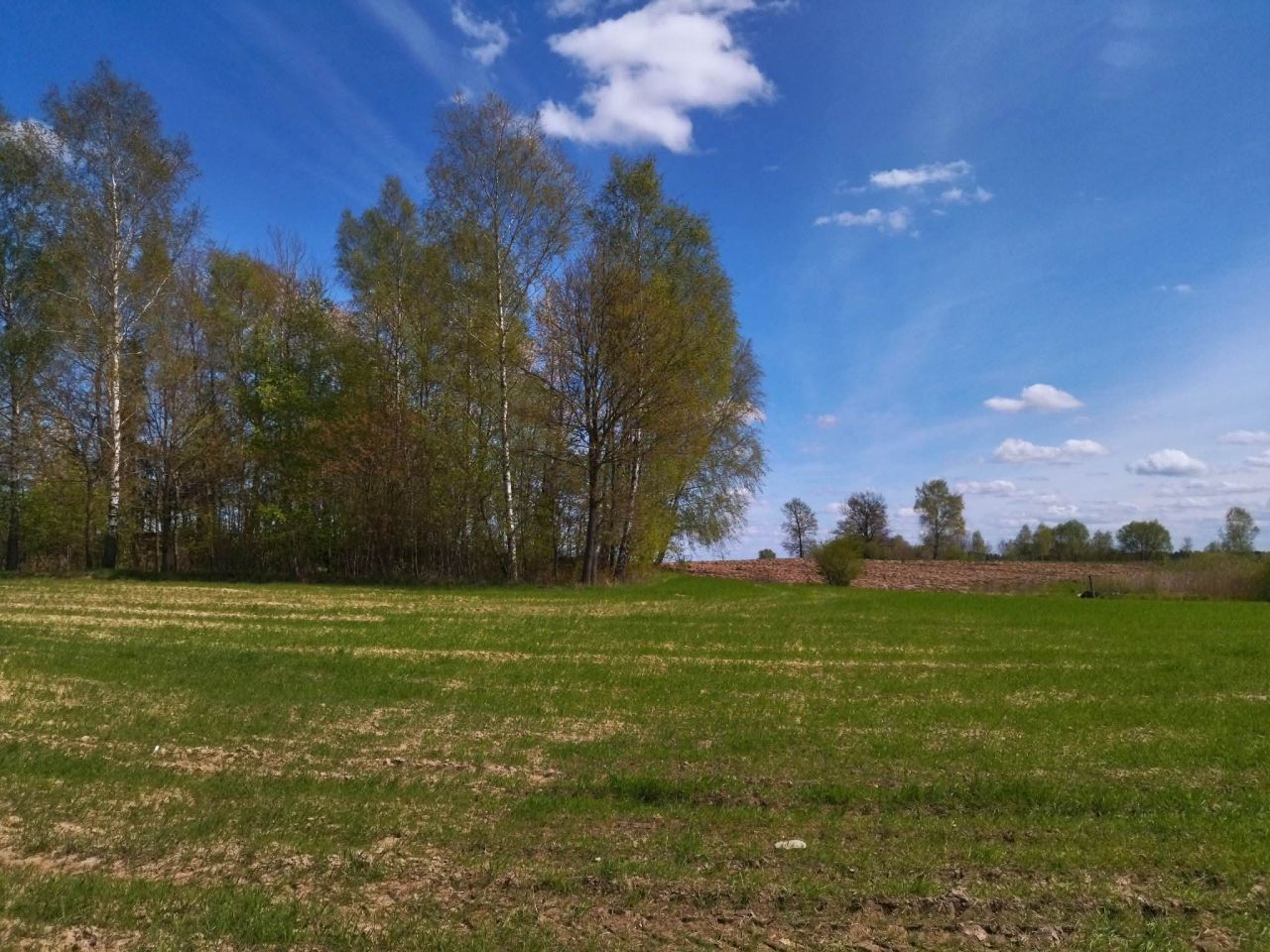 Działka budowlana Łączno. Zdjęcie 1