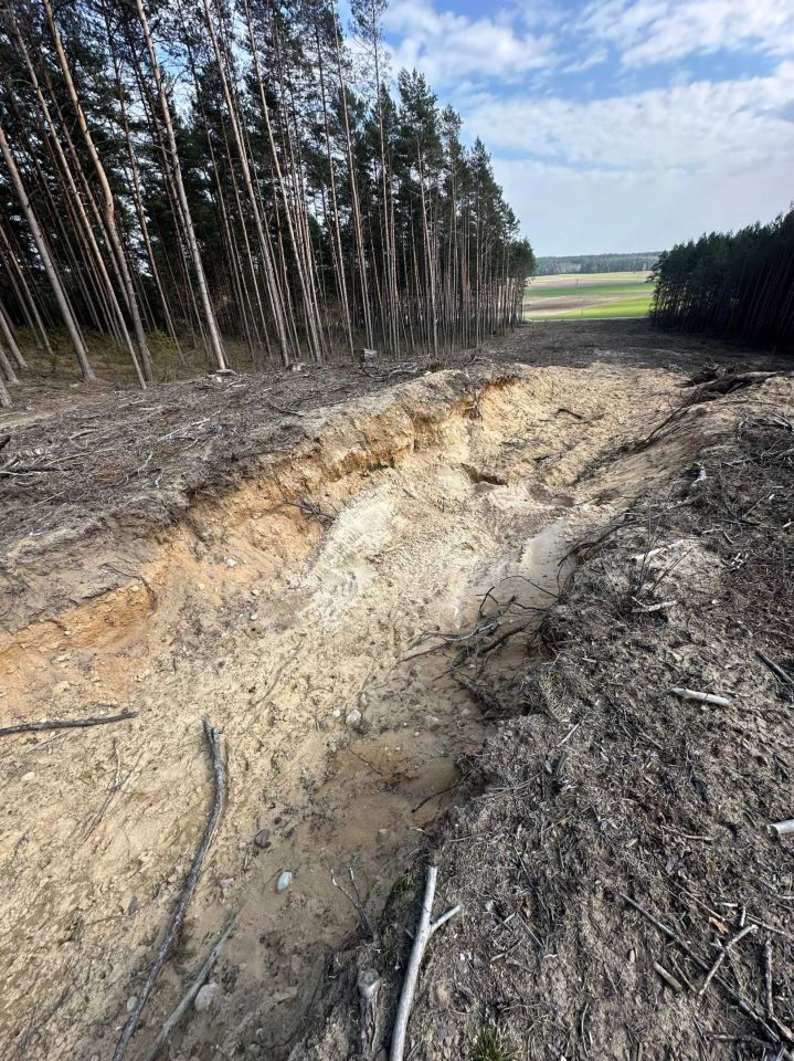 Działka leśna Zaręby-Jartuzy. Zdjęcie 8