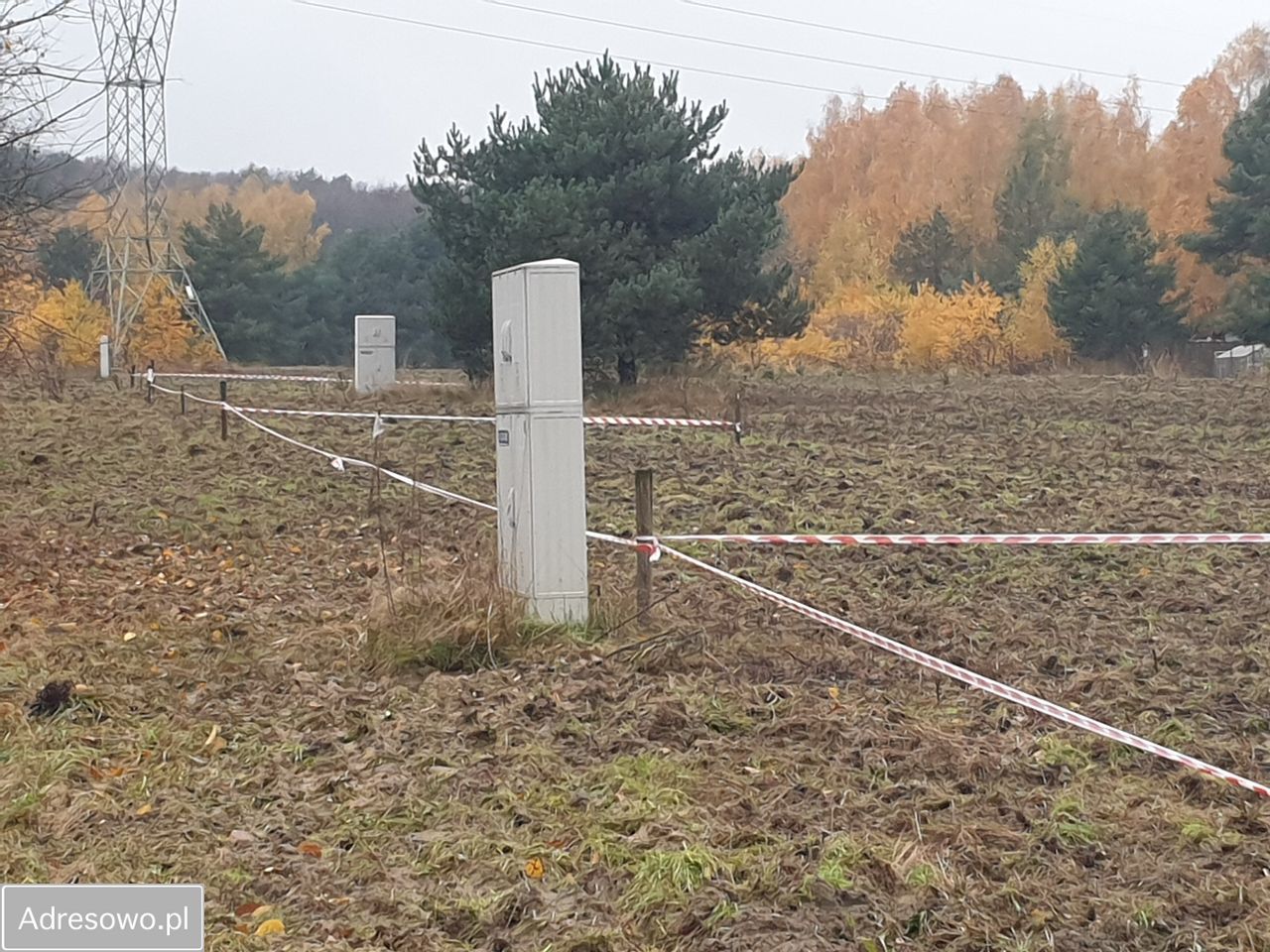 Działka budowlana Klęk. Zdjęcie 4