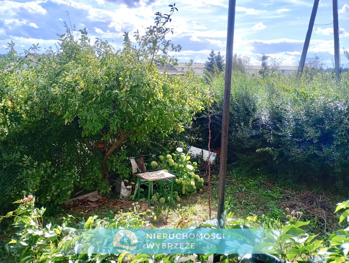 Mieszkanie 3-pokojowe Piotraszewo. Zdjęcie 28