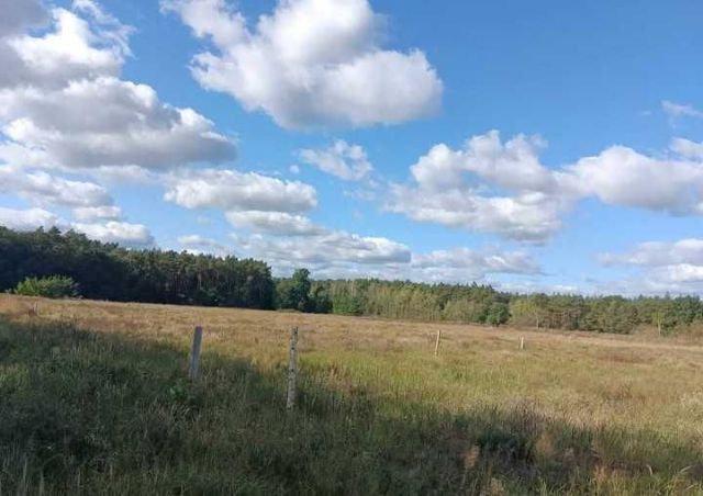 Działka budowlana Zarzewek. Zdjęcie 1