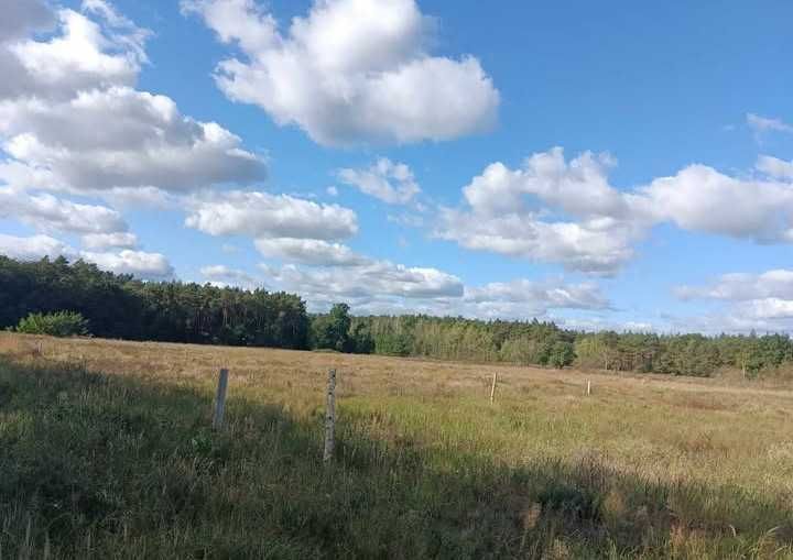 Działka budowlana Zarzewek. Zdjęcie 1