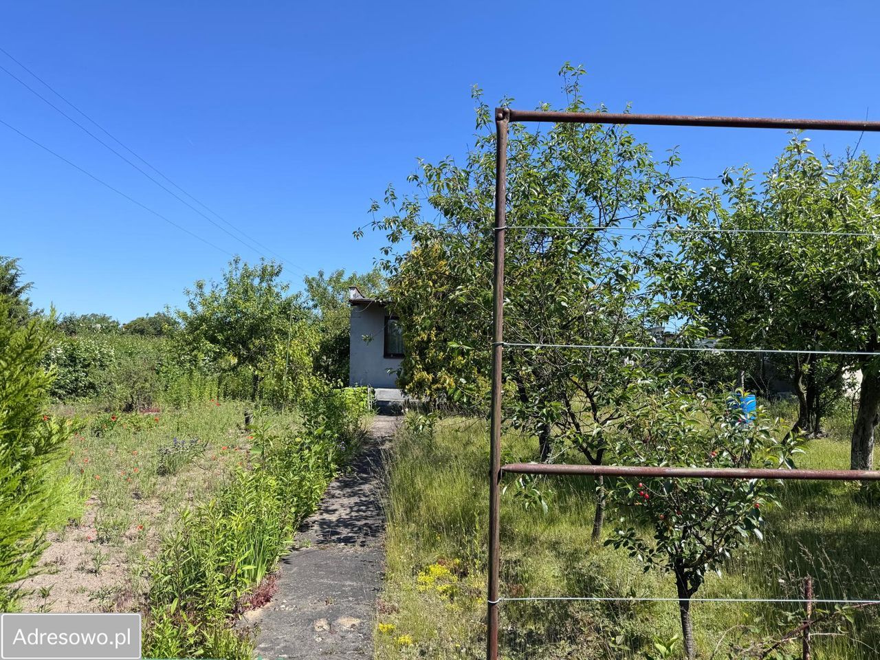 Działka rod Dolaszewo. Zdjęcie 2