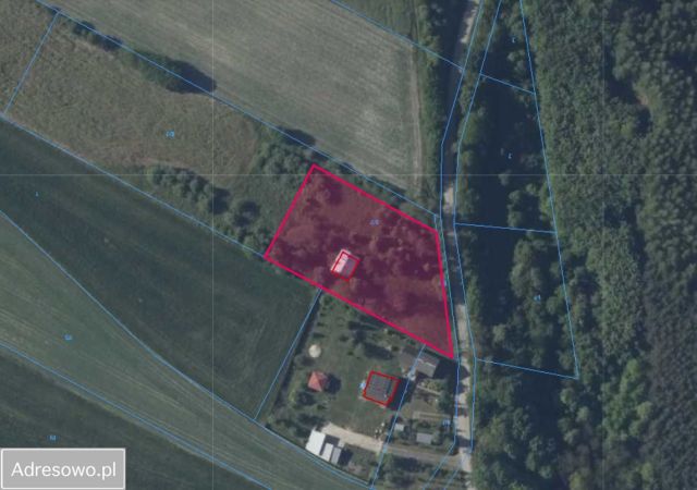 Działka budowlana Piołunka. Zdjęcie 1