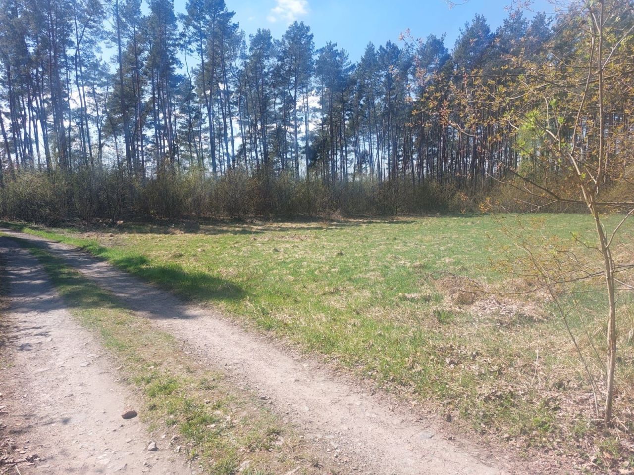 Działka budowlana Obrowo, ul. Sarnia. Zdjęcie 3