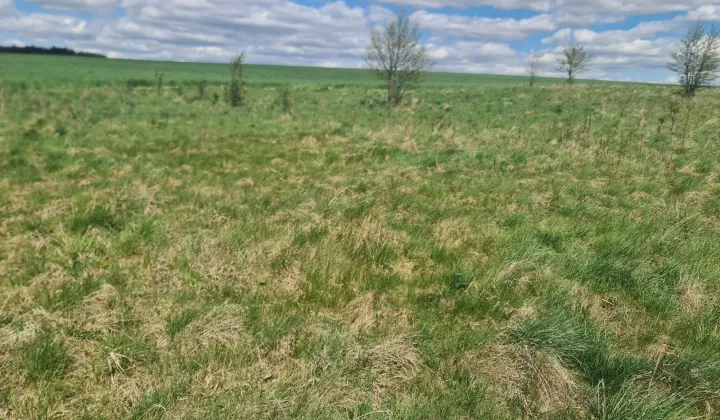 Działka rolna Barany