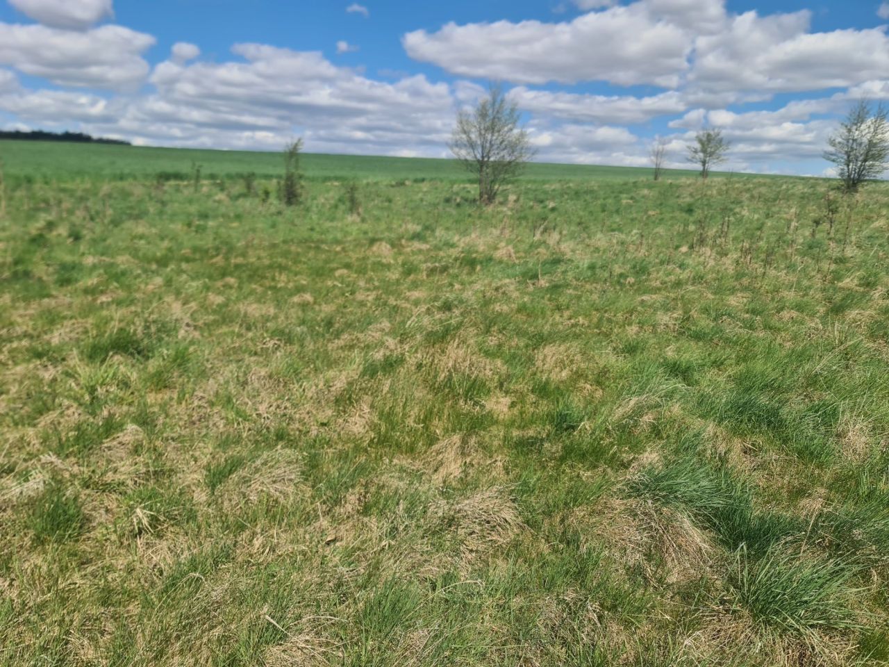 Działka rolna Barany. Zdjęcie 1