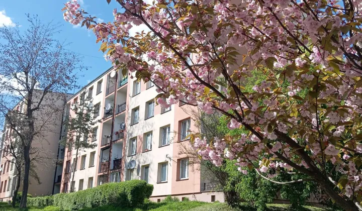 Mieszkanie 2-pokojowe Bytom Szombierki, ul. Adolfa Piątka