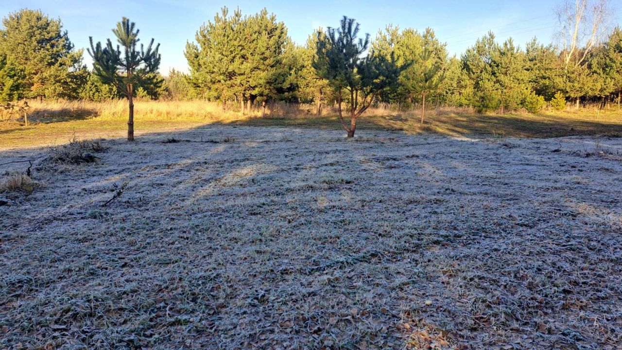 Działka budowlana Zrębice Zrębice Pierwsze, ul. Bukowska. Zdjęcie 8