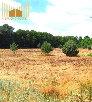 Działka budowlana Mrozy. Zdjęcie 8