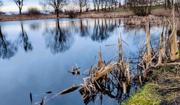 Działka rolno-budowlana Sztumska Wieś osada
