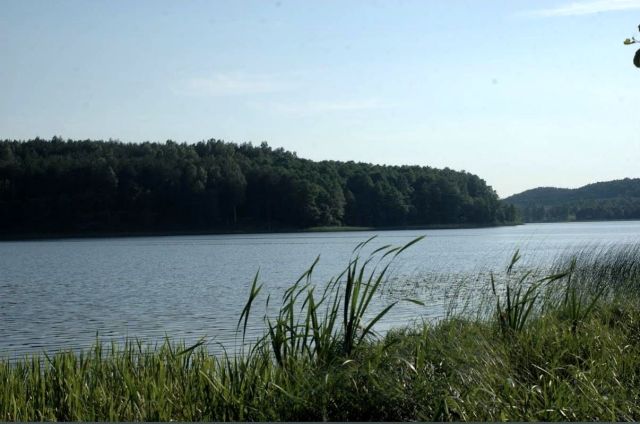 Działka rekreacyjna Ruda. Zdjęcie 1