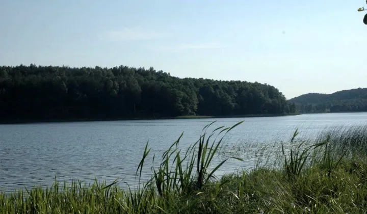 Działka rekreacyjna Ruda