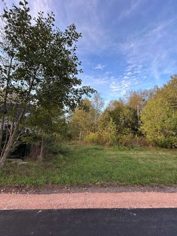 Działka budowlana Rumianka. Zdjęcie 1