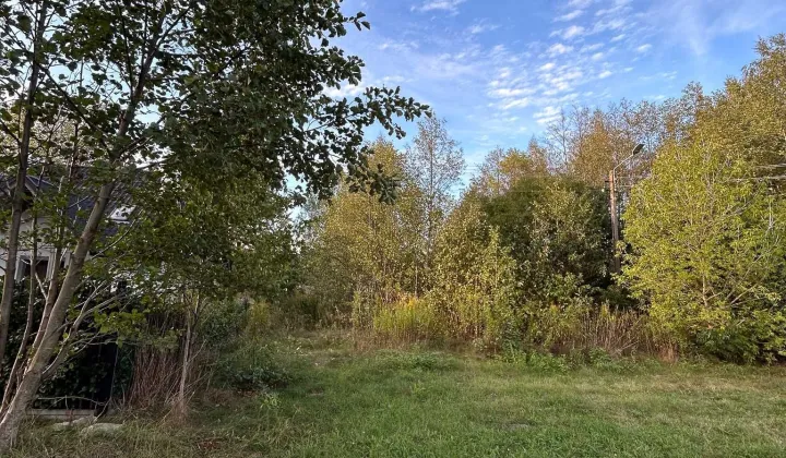 Działka budowlana Rumianka