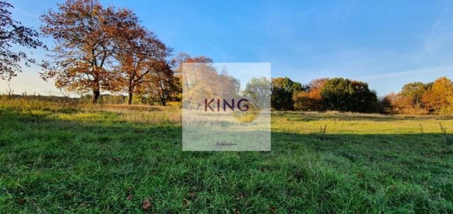 Działka rolna Rogówko. Zdjęcie 1