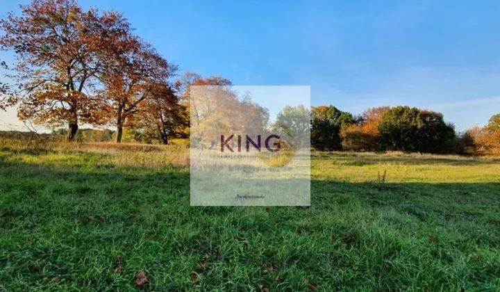 Działka rolna Rogówko