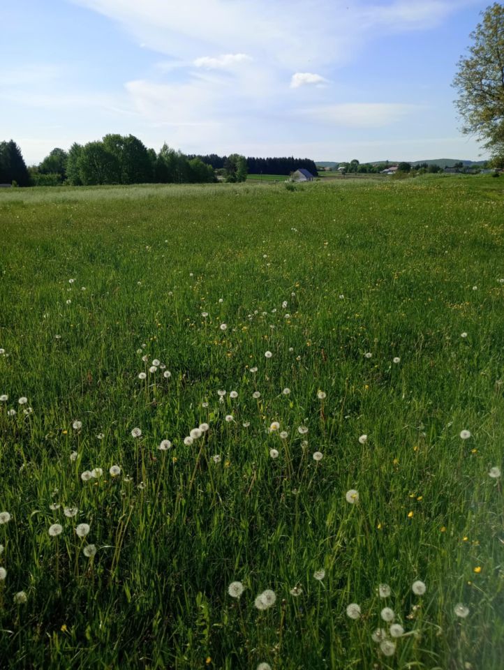 Działka rolno-budowlana Jedlicze Męcinka, ul. Jesionowa. Zdjęcie 7