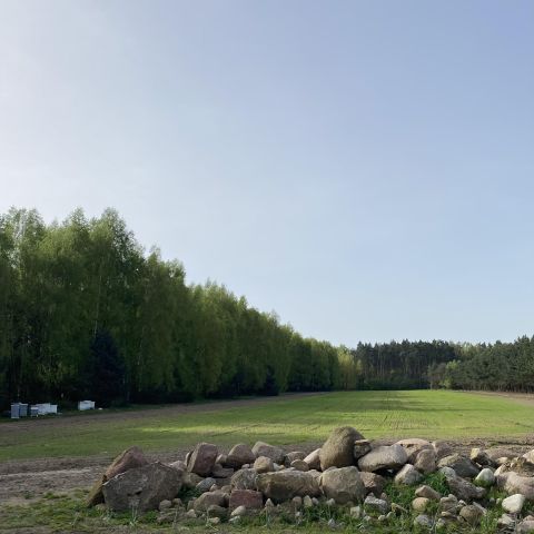 dom wolnostojący, 4 pokoje Janowice. Zdjęcie 5