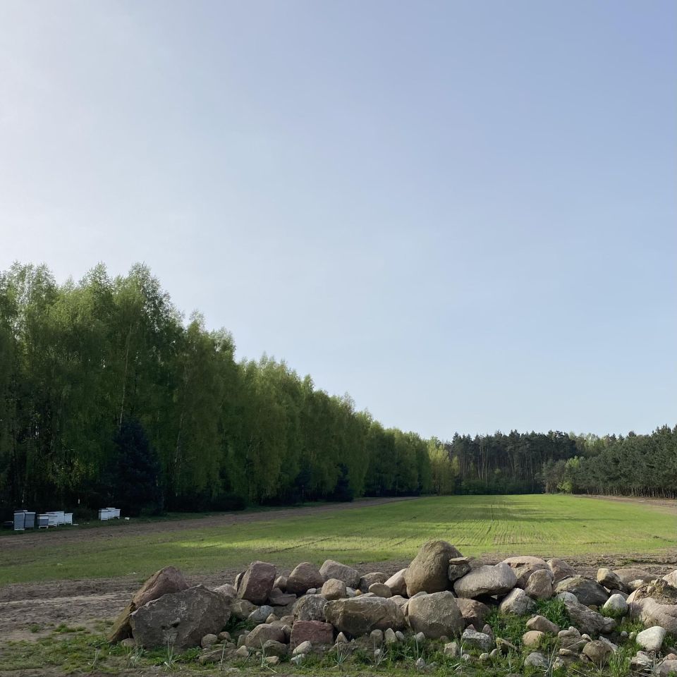 dom wolnostojący, 4 pokoje Janowice. Zdjęcie 5