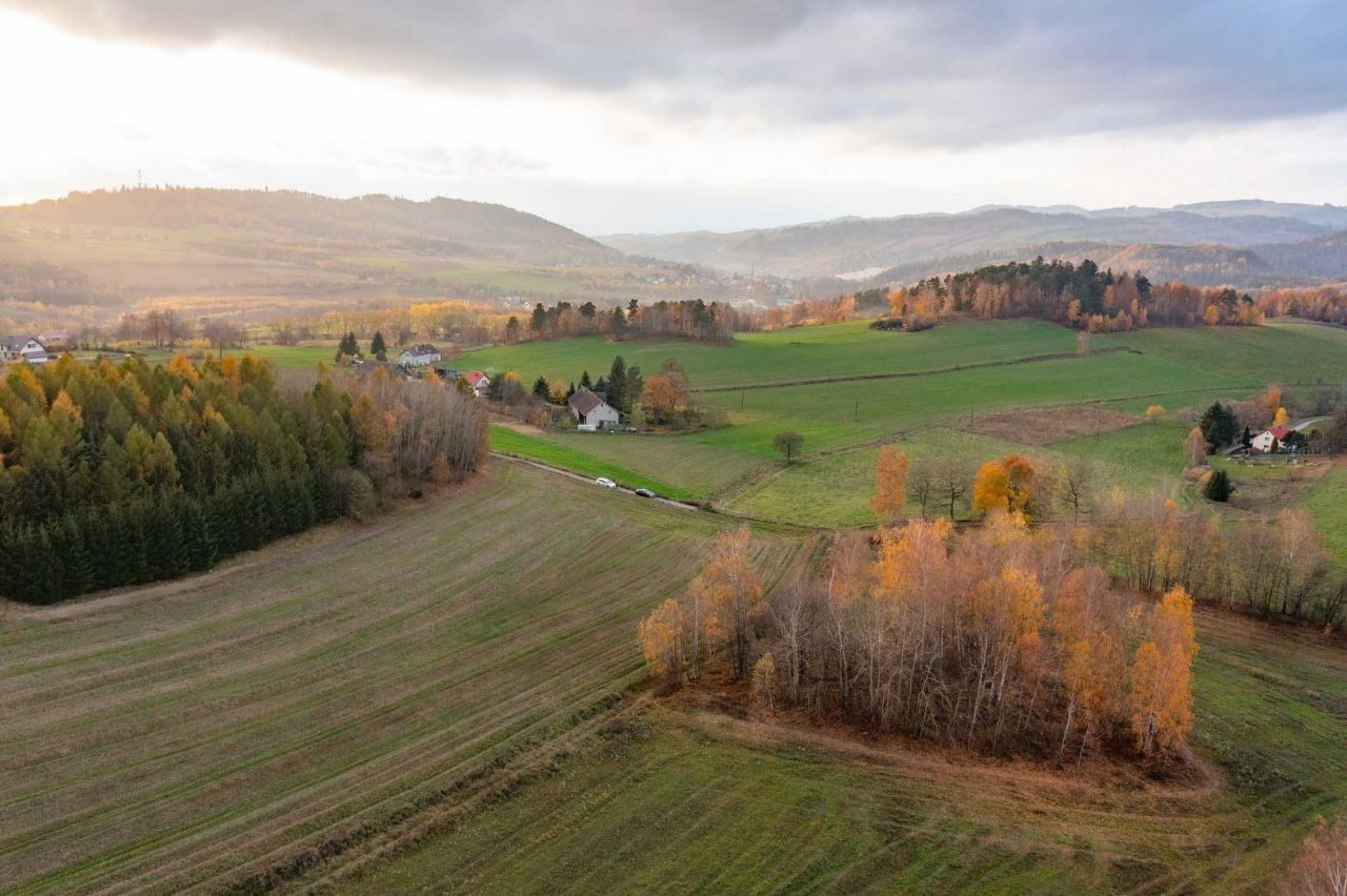 Działka budowlana Dzikowiec. Zdjęcie 7