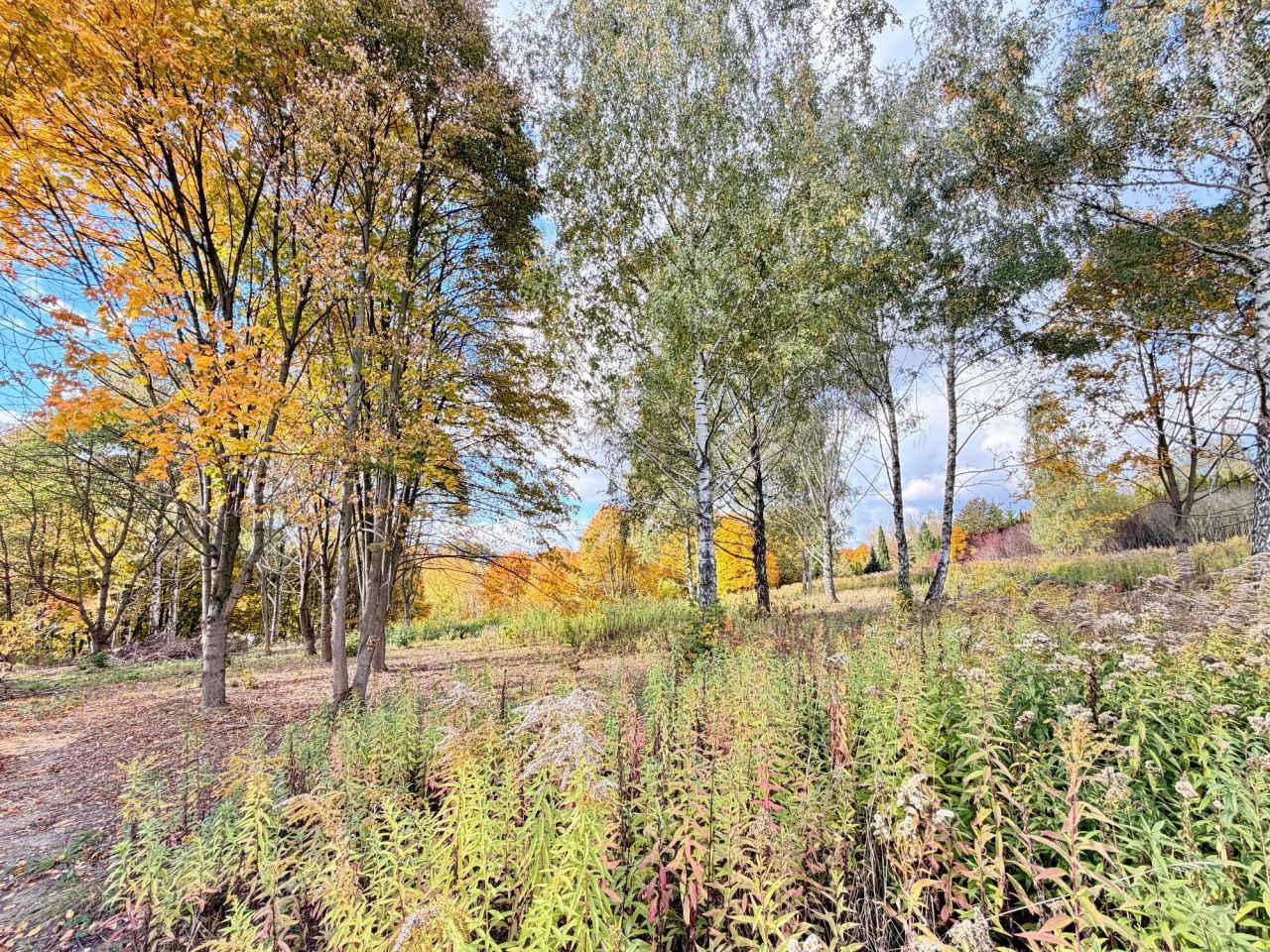 Działka budowlana Jakubowice Konińskie-Kolonia, ul. Malinowa. Zdjęcie 5