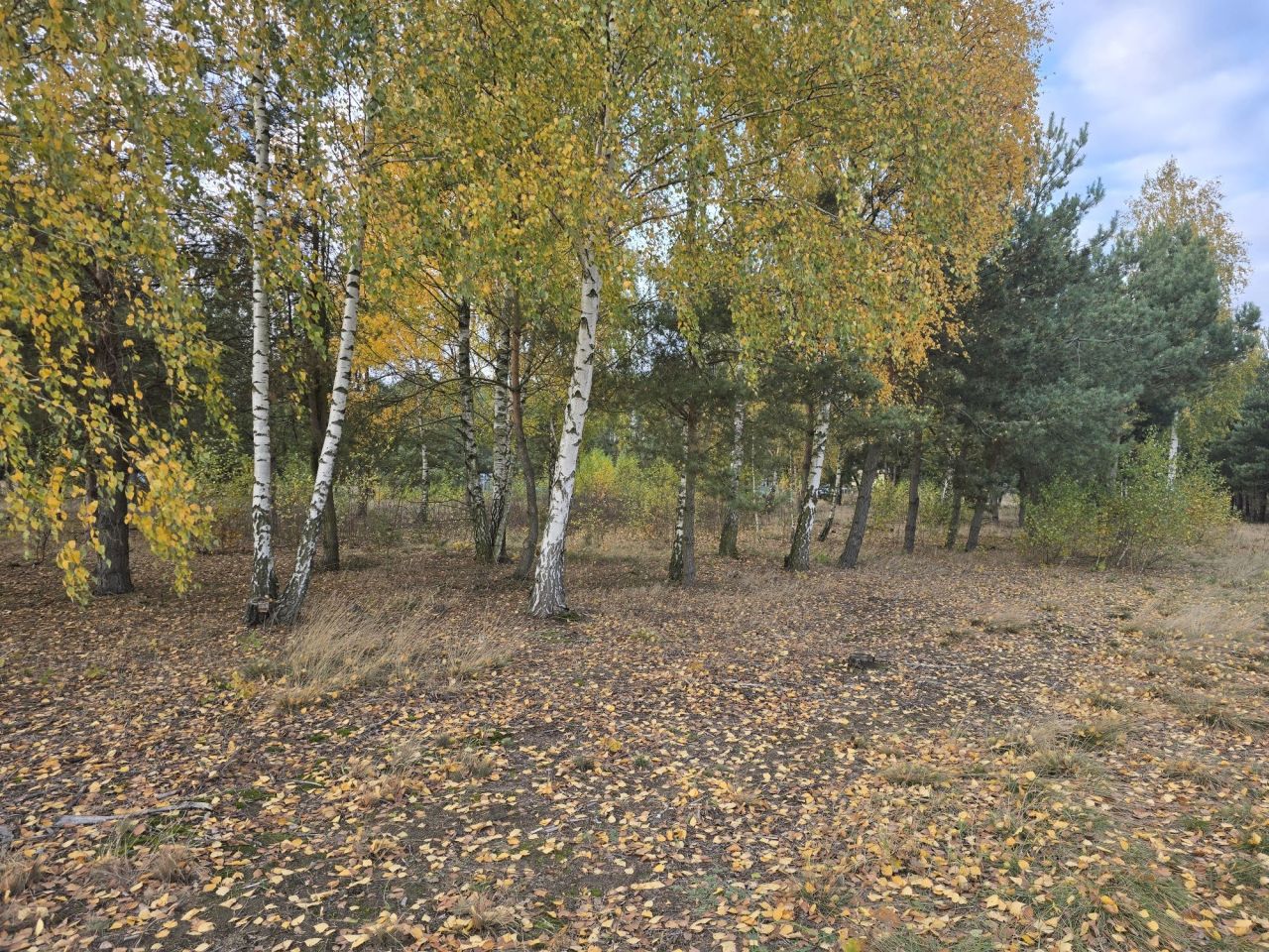 Działka budowlana Zabłocie. Zdjęcie 3