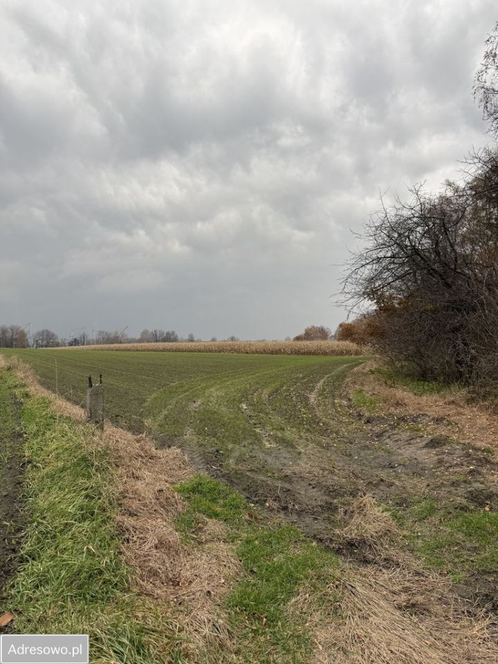 Działka rolna Piekary Śląskie Dąbrówka Wielka. Zdjęcie 7