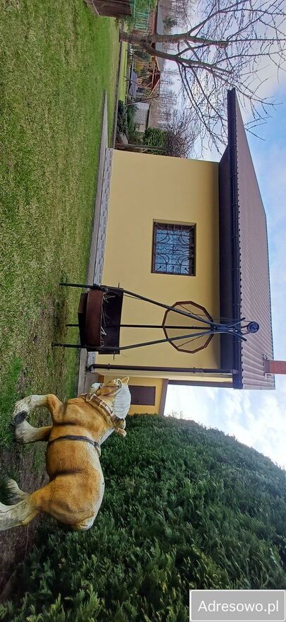 Działka rod Tarnobrzeg. Zdjęcie 6