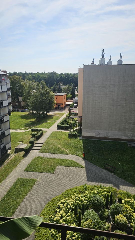 Mieszkanie 2-pokojowe Ruda Śląska Halemba, ul. Leśna. Zdjęcie 9